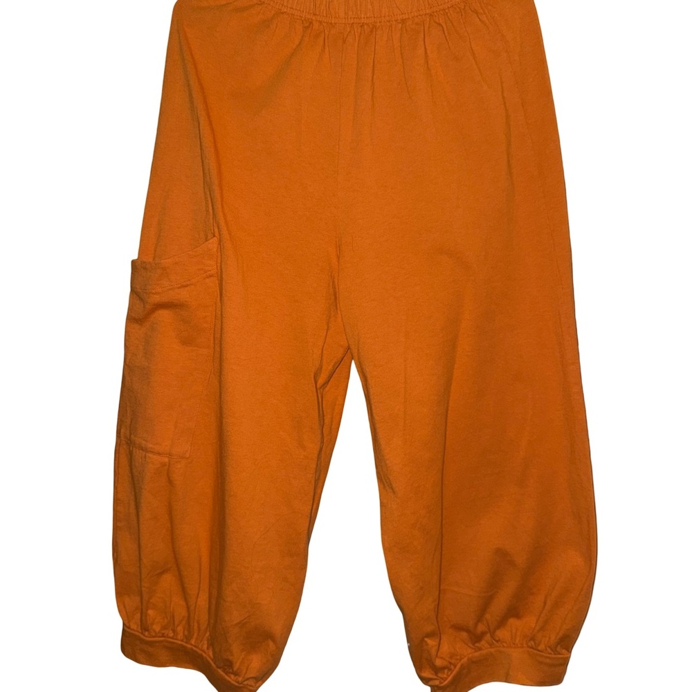Bryn Walker NWT Wylie Pant CASBAH Pants Pocket Pants Size Small